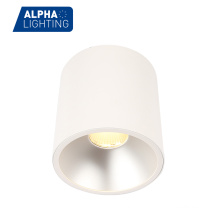 Residential Hotel IP20 Indoor High Lumen LED Ceiling Mounted Light Changeable Reflector